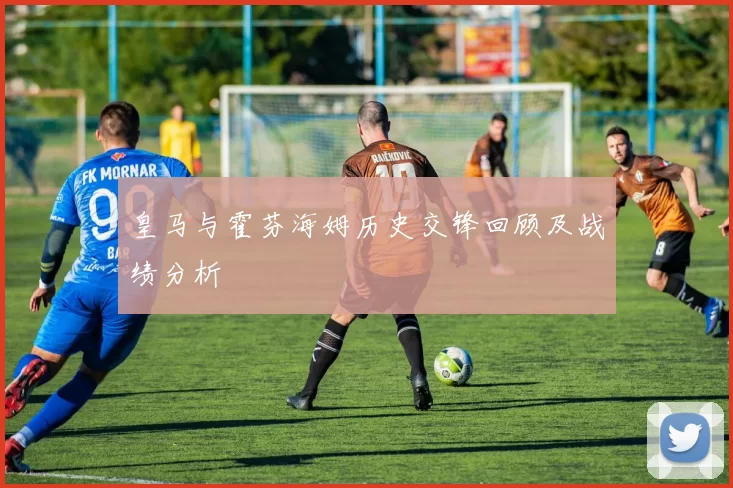 皇马与霍芬海姆历史交锋回顾及战绩分析