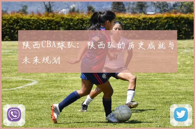 陕西CBA球队：陕西队的历史成就与未来规划