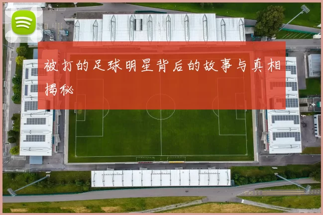 被打的足球明星背后的故事与真相揭秘