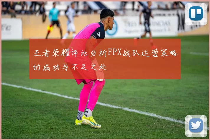 王者荣耀评论分析FPX战队运营策略的成功与不足之处