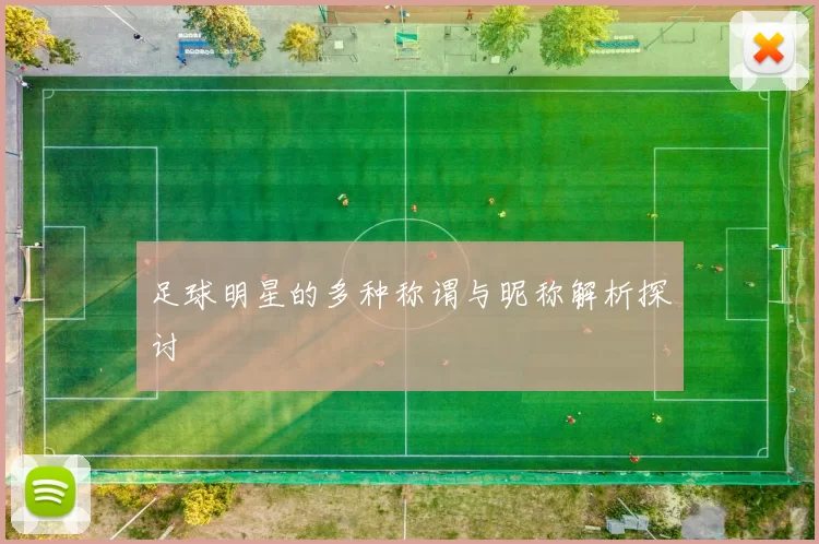 足球明星的多种称谓与昵称解析探讨