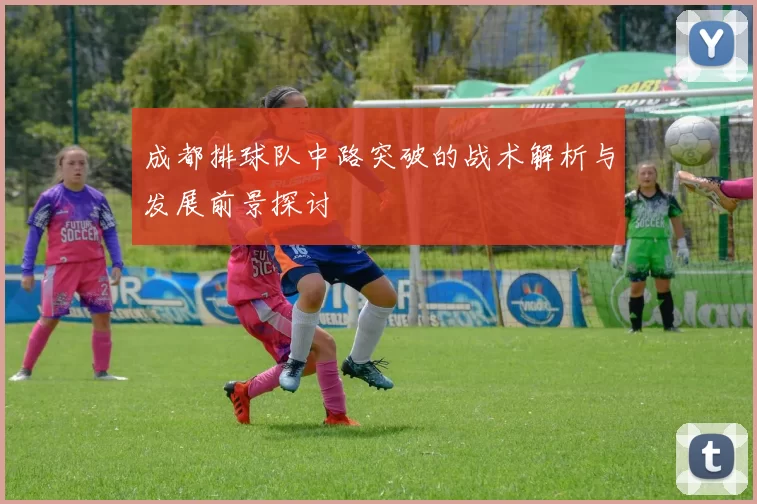 成都排球队中路突破的战术解析与发展前景探讨