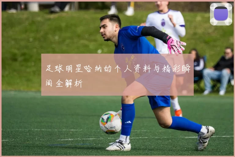 足球明星哈纳的个人资料与精彩瞬间全解析