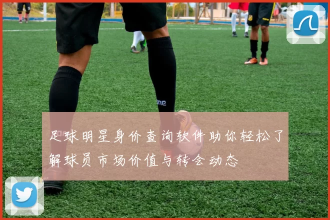 足球明星身价查询软件助你轻松了解球员市场价值与转会动态