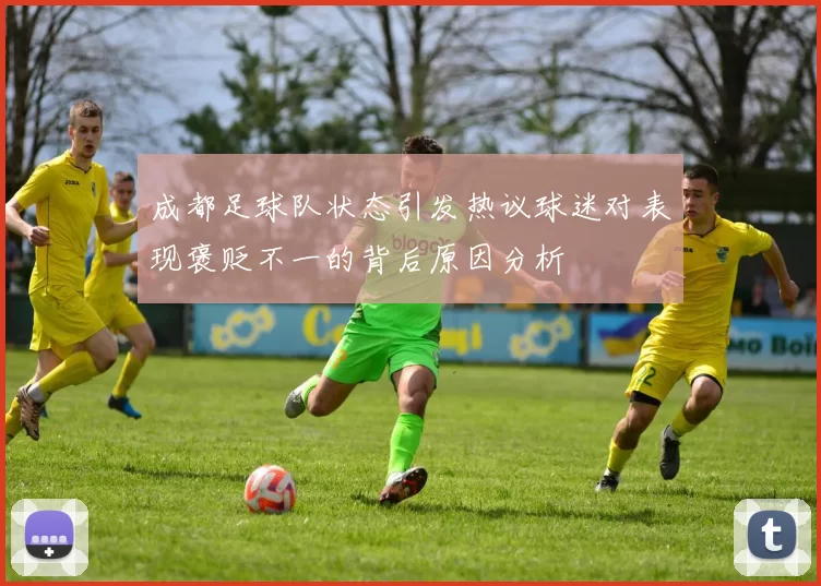 成都足球队状态引发热议球迷对表现褒贬不一的背后原因分析