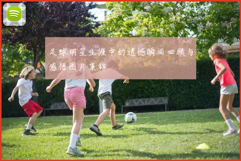 足球明星生涯中的遗憾瞬间回顾与感悟图片集锦
