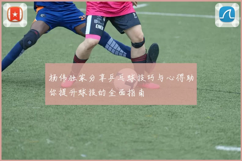 杨伟独家分享乒乓球技巧与心得助你提升球技的全面指南